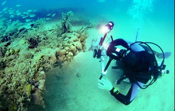 Figure 2. Divers surveying corals and sponges off Dog Island.