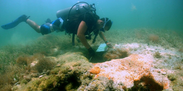 research-underwater.jpg