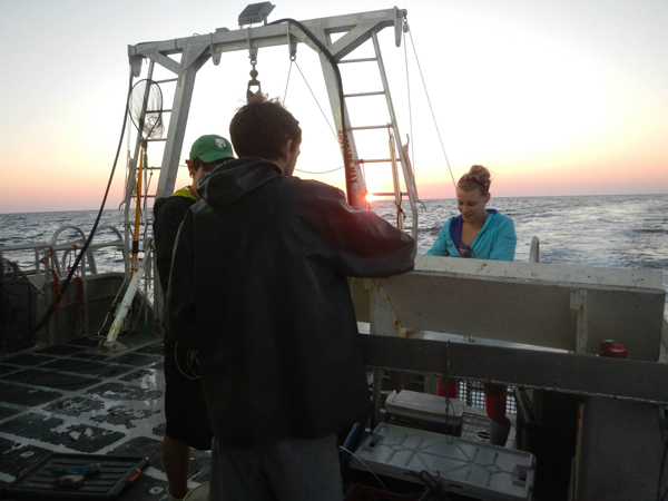 Students Sampling Caught Species