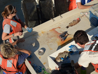 Scientist team working up the fish that were caught