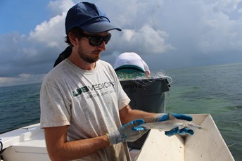 Cheston Peterson holding an Atlantic sharpnose shark (Rhizoprionodon terraenovae)