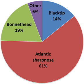 Shark catch break down, 2009-2012