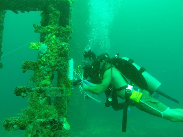 Anthony Sogluizzo, a technician at the FSU Marine Lab, attaches a datalogger to one of the structures near K-tower