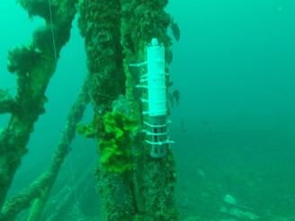 This YSI data collection instrument (model 6600V2) was deployed at 13 m and will measure and collect data on temperature, salinity, dissolved oxygen and turbidity for up to a year