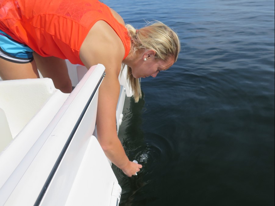 Graduate student Abbey Engleman collects a water sample that will be analyzed for nutrients as part of the monthly optical water quality sampling in Apalachee Bay