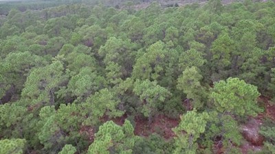 Aerial view of the FSUCML North 70 tract