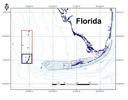 Southern Extent of the West Florida Shelf. Pulley Ridge indicated by boxes. The bottom box indicates area containing coral habitat.