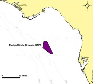 Figure 2. The Florida Middle Grounds Habitat Area of Particular Concern.