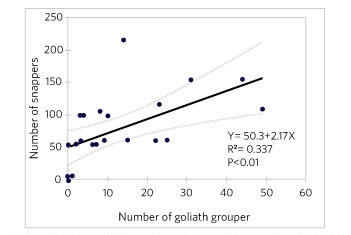 Figure 4.Regression of number of snapper (all species) on goliath grouper density (no. per reef site) off southwest Florida on high-relief sites. Dashed lines denote 95% confidence limit.
