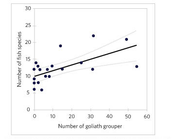 Figure 6.Regression of species richness (all reef fish) on goliath grouper density (no. per reef site) off southwest Florida on high-relief sites (R2=0.38:P<0.01). Dashed lines denote 95% confidence limit.