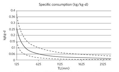 Figure 6.Modeled Consumption Rates of goliath grouper relative to total length (TL). Graph shows that as the fish grow, their their weight-specific consumption rates decline. Thus, a large individual eats much less per body mass than a small individual.
