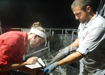 Bianca Prohaska and Ryan McKenzie taking samples