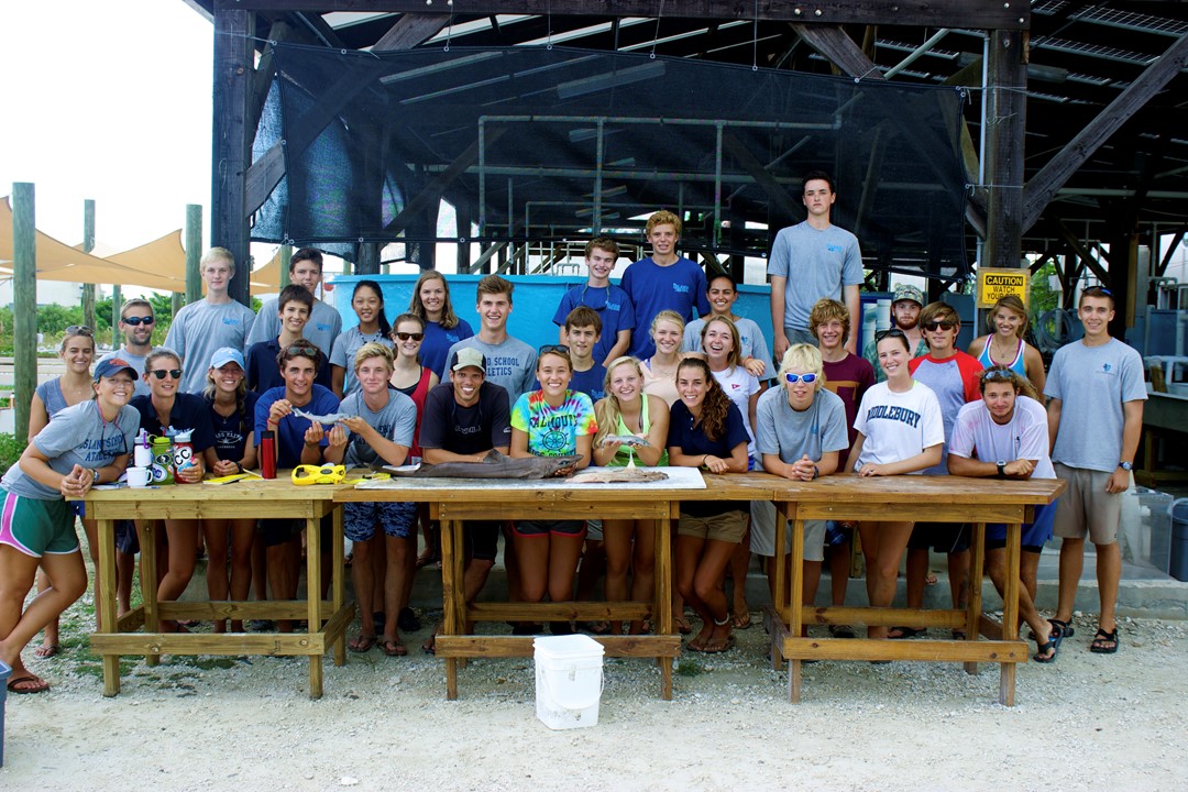 Fall 2014 Island School students dissect a gulper shark during their Applied Research course focused on fisheries bycatch and the Cuban dogfish