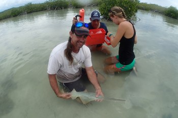Dr. Dean Grubbs holding a young of young-of-year sawfish