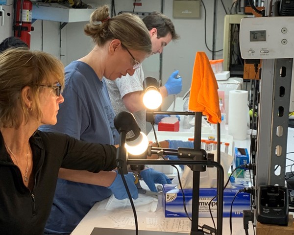 Samples brought up by the ROV are photographed and processed for genetics and other analyses.<br />Image: Anthony Sogluizzo, FSU.