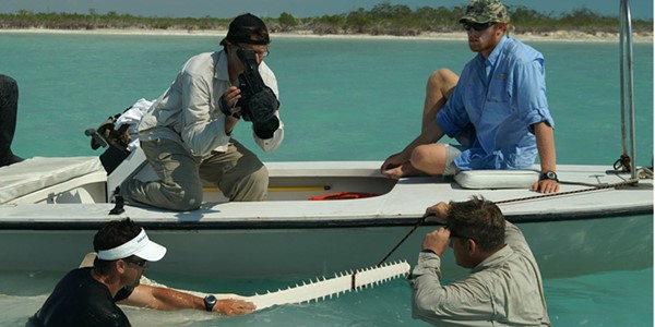 Grubbs Sawfish Banner 900 X 450