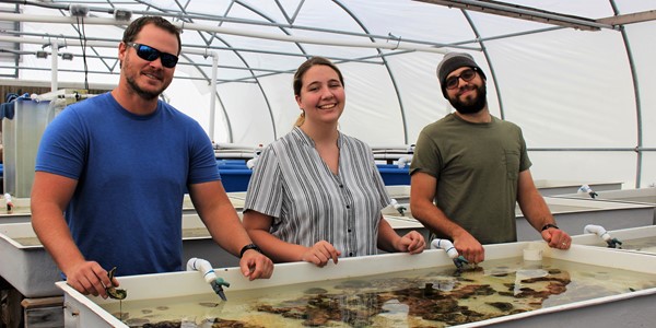 Cullen, HS Intern Laura, Chris 900 X 450