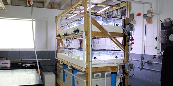 Flume Lab 900 X 450