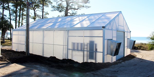 Greenhouse Hatchery 900 X 450