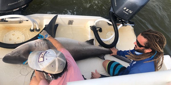 Keller_Bryan and Cheston with Shark 900 X 450