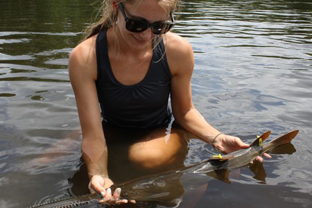 Bianca And Sawfish 3X2