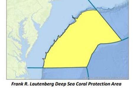Deep Sea Coral Protected 3X2