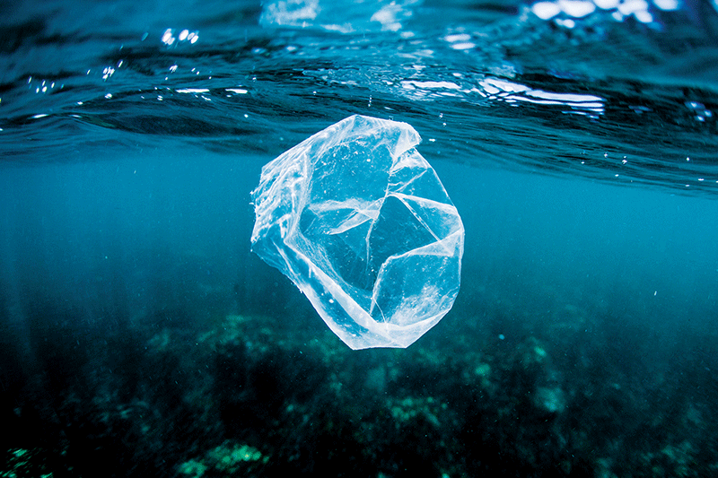 Plastic Bag Pollution 3 X 2