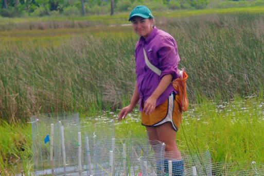 Grad Zerebecki 3 X 2