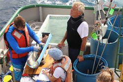 Pulley Coleman And Koenig 3 X 2