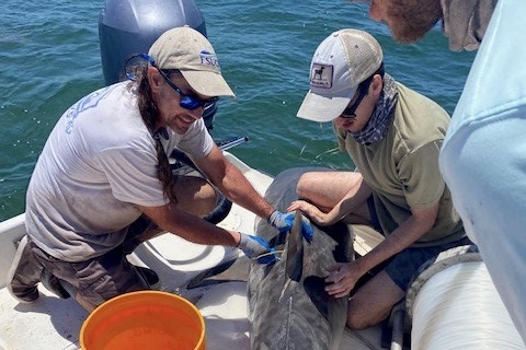 Cheston And Dean Field Work