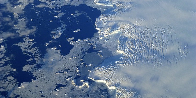 8145694627 2459B11907 C (1)