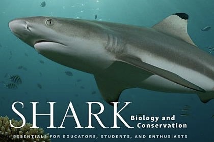 Shark Bio And Conserv