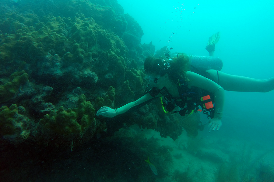 Mccoy Flkeys 900X600png