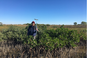 Breithaupt Soil Core Samples 3X2
