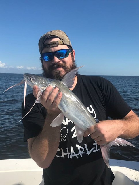 Barry Walton with gafftopsail catfish (Bagre marinus). Apalachicola Bay locals call it the 'sail cat'. The male catfish incubates the fertilized eggs in its mouth.