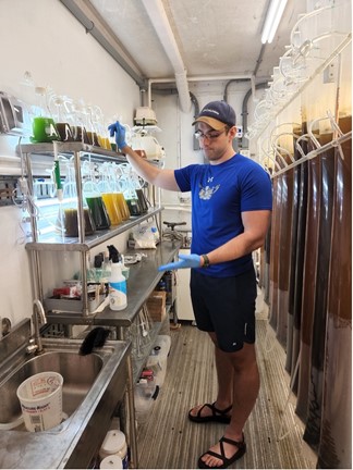 Benton Jaco preparing to transfer algae into new nutrient rich seawater. In the algae room we grow 4 different species.