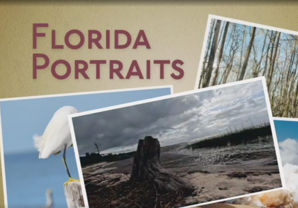 Screen Shot 2023 07 12 At 5.16.55 PM