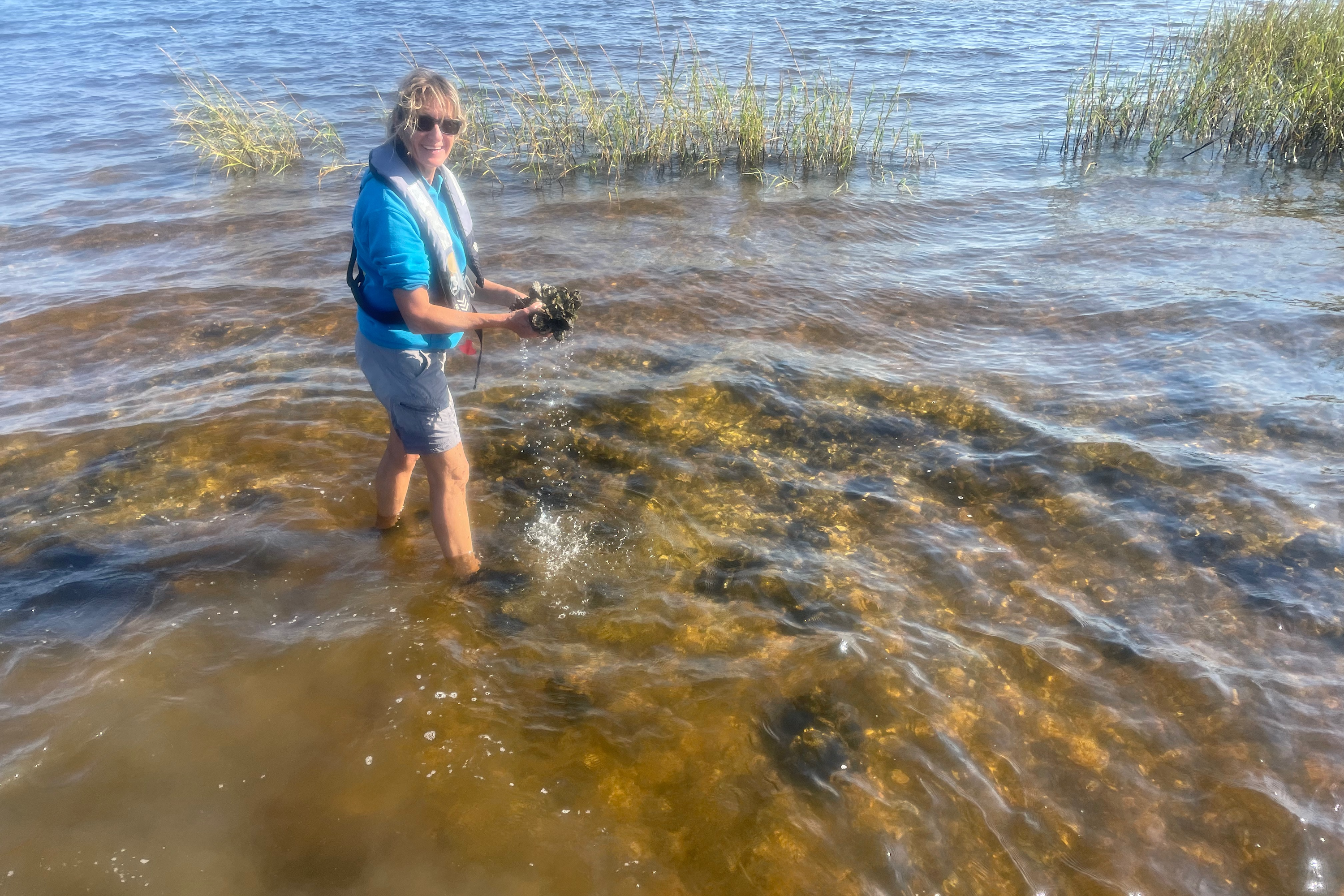 Sandra Scouting Oysters
