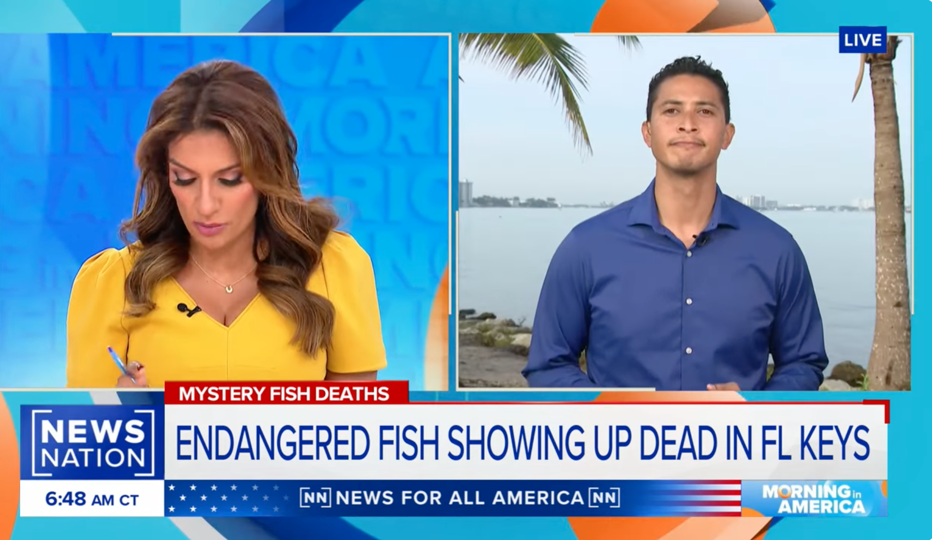 Sawfish Coverage March 2024