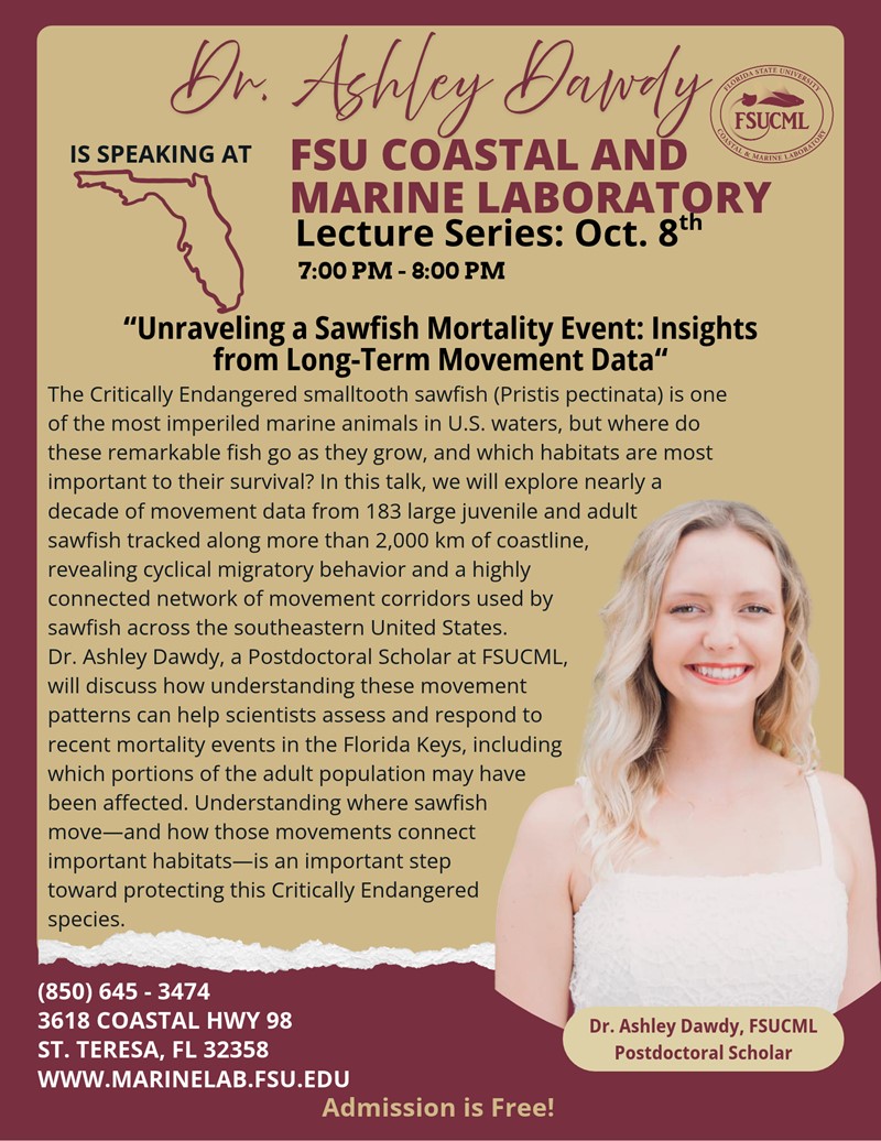Ashley Dawdy Flyer For Lecture Series