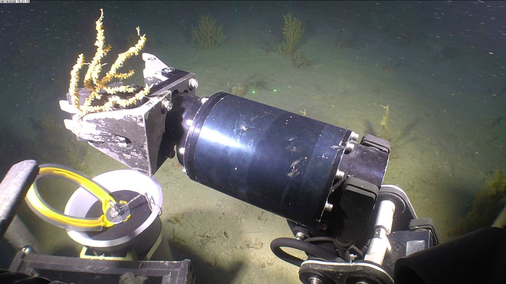 Dive 1436 222739 08192026 000045